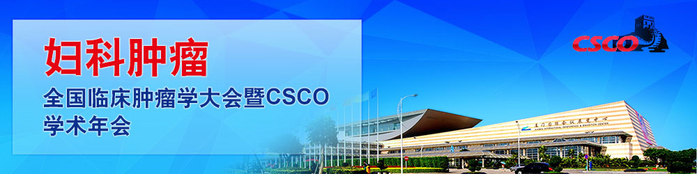 CSCO年会 - 妇科肿瘤集锦